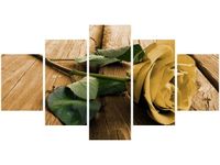 product-compare-58701055