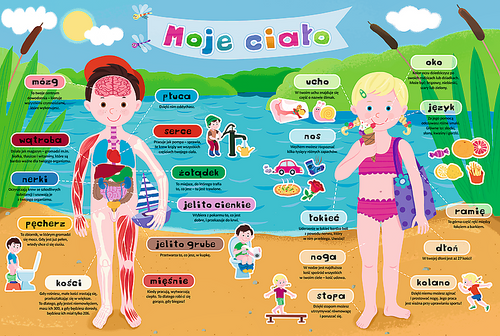 TREFL Moje ciało 15508 na Arena.pl