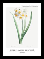 Plakat 13x18cm Design Narcissus, Redoute Vintage do Salonu