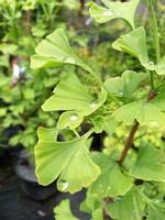 product-compare-52659662