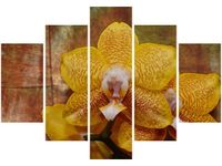 105CM 150CM OBRAZ 5 ELEM PIĘKNY STORCZYK DRUK