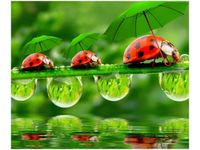 60X50CM BIEDRONECZKI OBRAZ ŚCIAN DREWNIANE