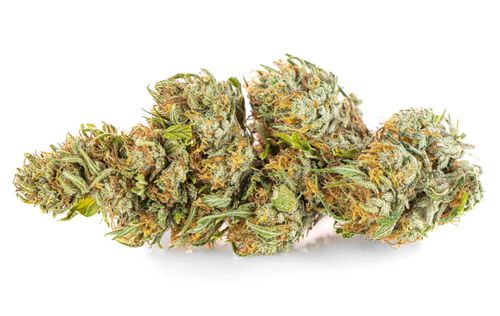 Susz konopny Lemon Haze CBD SUPER AMSTERDAM Exclusive Weed 2g na Arena.pl