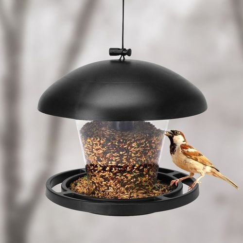 Karmnik dla ptaków 16,5 cm na Arena.pl