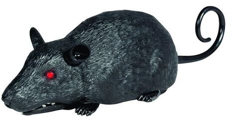 Wildroid Mysz na Arena.pl