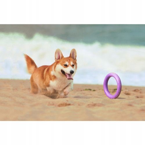 Szarpak dla psa PULLER midi 19,5 cm ring 2 szt. dla średnich ras psów zdjęcie 15