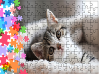 Puzzle tradycyjne Zwierzęta - Kot