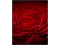 75CM 60CM OBRAZ ŚCIENNY [8] DRUK PŁÓTNO