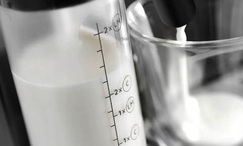 Ekspres ciśnieniowy De'Longhi Magnifica EVO ECAM290.51.B 1450 W czarny na Arena.pl