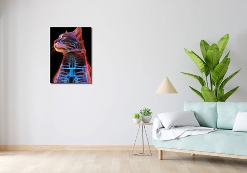 Obraz 50x70cm Anatomia Kota na Arena.pl
