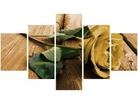 75CM 120 OBRAZ 5 ELEM CIEKAWA RÓŻA ŚCIENNY DRUK