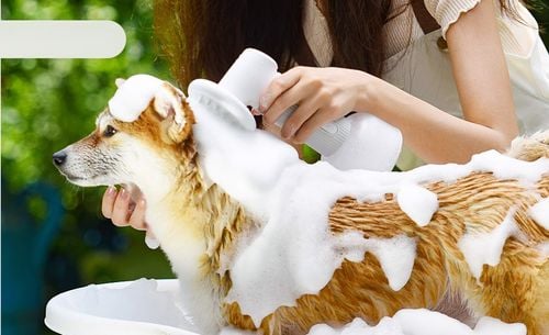 Automatyczna szczotka do spieniania z dozownikiem na Arena.pl