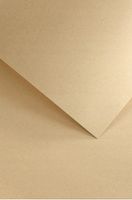 papier ozdobny nature ciemnobeżowy 120g (50) 8473