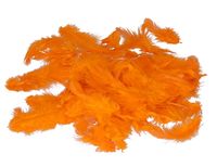 PIÓRA PIÓRKA DEKORACYJNE OZDOBNE13G 6-10CM POMARAŃCZOWE