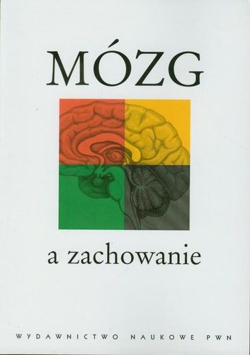 Górska Mózg a zachowanie na Arena.pl