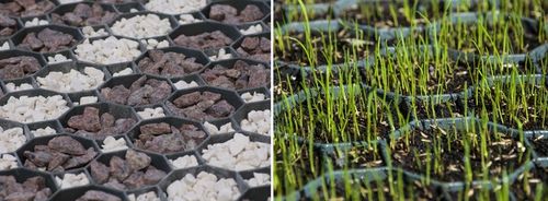 GEOKRATA Kratka Drogowa Parking Trawnikowa PŁYTA AŻUROWA Stella Green na Arena.pl