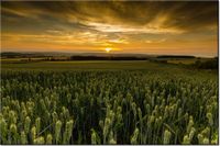 product-compare-58694101