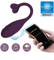 Zdalnie sterowany pocisk rozkoszy