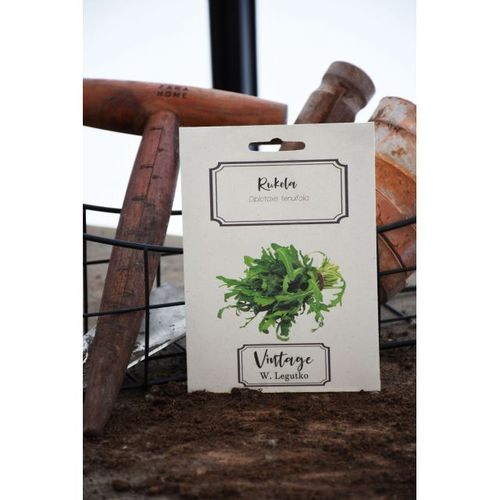 Nasiona Rukola 0,5g na Arena.pl