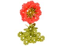 product-compare-60424118