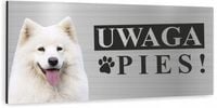 Tabliczka UWAGA ZŁY PIES - SAMOYED SAMOJED dibond