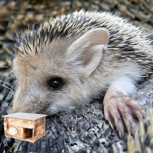 Domek dla Jeża Jeży DREWNIANY budka dom legowisko producent XXL na Arena.pl