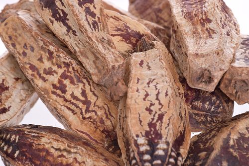 Mehogani na Arena.pl