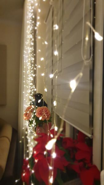 LAMPKI KURTYNA druciki mikro LED 8 FUNKCJI WEW/ZEW zdjęcie 13