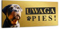 Tabliczka UWAGA ZŁY PIES ROTTWEILER złota dibond