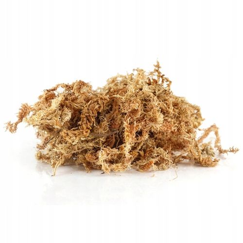Mech Sphagnum 8L Besgrow Spagmoss Classic torfowiec 100G podłoże pH na Arena.pl