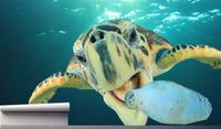 Fototapeta ŻÓŁW MORSKI PŁYWAJĄCY W OCEANIE 200x130