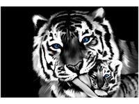 product-compare-58650970