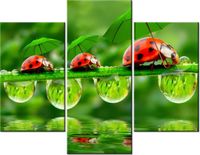 70 90CM OBRAZ 3 ELEM BIEDRONECZKI ŚCIENNY PŁÓTNO