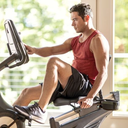 SCHWINN ROWER POZIOMY PROGRAMOWANY 570R na Arena.pl