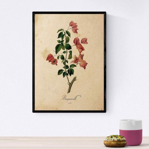 plakat obraz kwiaty vintage a4 na Arena.pl