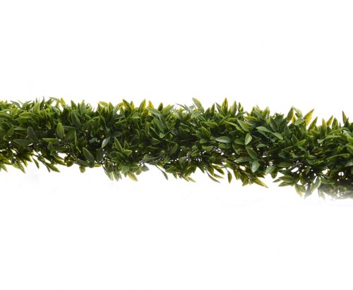 Girlanda ruscus 150cm na Arena.pl