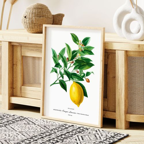 Plakat cyfrowy do wydruku cytryna na Arena.pl