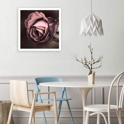 Obraz na płótnie - Canvas, Piękna róża 90x90 na Arena.pl