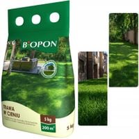 bopon - trawa w cieniu do miejsc słabo nasłonecznionych 200 m² - 5kg
