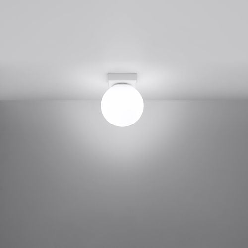 Plafon YOLI 1 biały na Arena.pl