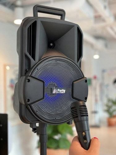 KOLUMNA PRZENOŚNA 300 W BLUETOOTH STATYW KARAOKE na Arena.pl