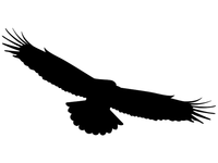 NAKLEJKI ODSTRASZACZ PTAKÓW na szybę okno M 35 cm