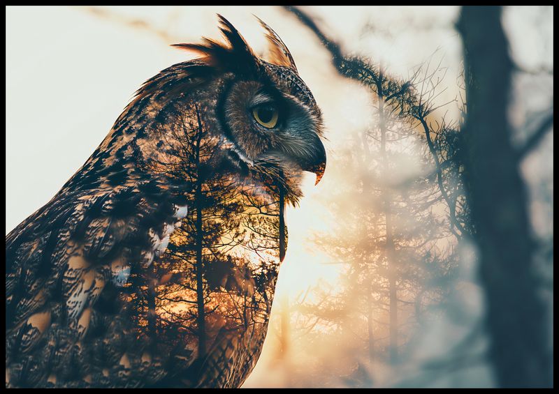 Plakat 100x70cm Sowi Duch zdjęcie 2