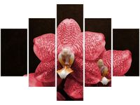 70 100CM OBRAZ 5 ELEM CZERWONY STORCZYK DRUK PŁÓTNO