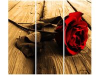 product-compare-58702782