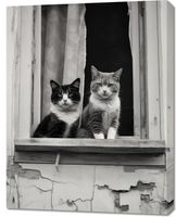 Obraz 70x90cm Para w Oknie