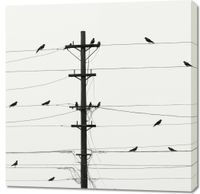 Obraz 90x90cm Symfonia na Drutach