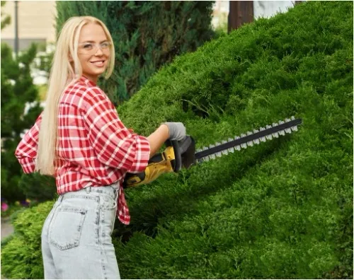 NOŻYCE DO ŻYWOPŁOTU AKUMULATOROWE DO KRZEWÓW IMOUM AKUMULATOR ZESTAW na Arena.pl