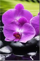 80CM 120 OBRAZ KAMIENIE STORCZYKI ŚCIENNY