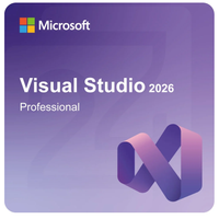 Microsoft Visual Studio 2026 Professional / licencja wieczysta